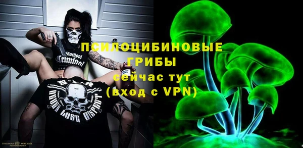 бошки Алексин