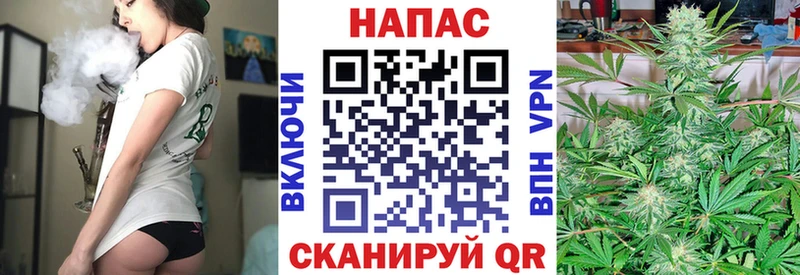 купить наркоту  Чёрмоз  Конопля гибрид 